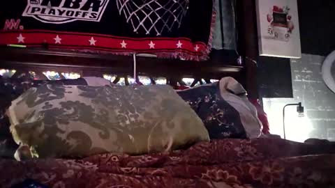 Haven online show from 22, 4, 2026