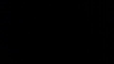      online show from 11, 2, 2026