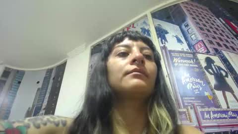 Kitten online show from 15, 9, 2025