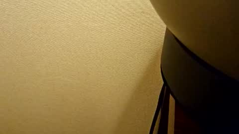 Snapshot of naughtymilfnextdoor chatting on 22, 1, 2025 naughtymilfnextdoor online show from 22, 1, 2025