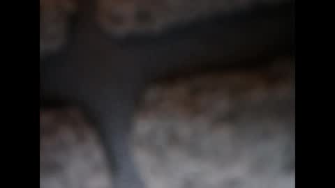 naughtypanties123 online show from 11, 3, 2026