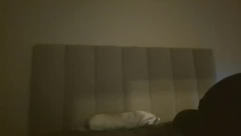 Snapshot of nchastain74 chatting on 2, 1, 2025 wetnikki6590 online show from 2, 1, 2025