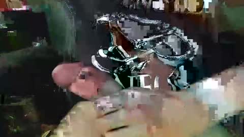 ndude123 online show from 8, 1, 2025