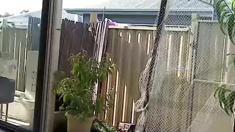 NECK online show from 3, 12, 2024