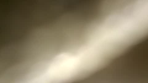 Snapshot of nembo1974 chatting on 28, 7, 2026 boo online show from 28, 7, 2026