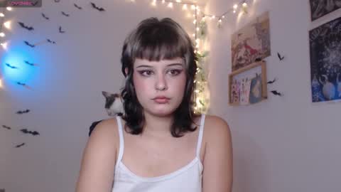 Mar online show from 6, 11, 2025