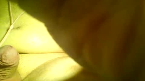 Snapshot of neverland966 chatting on 25, 1, 2025 Mark online show from 25, 1, 2025