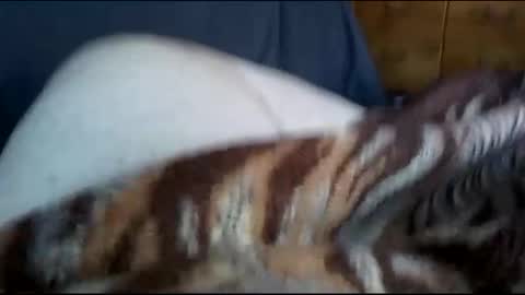 Snapshot of neverseentthatb4 chatting on 1, 12, 2024 Matt online show from 1, 12, 2024