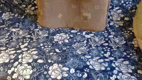 Lilly  online show from 1, 2, 2025