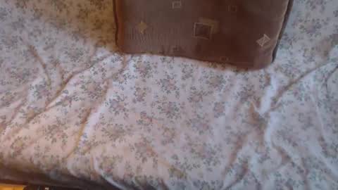 Lilly  online show from 10, 2, 2025