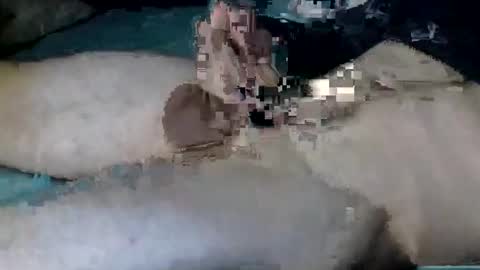 Nick online show from 12, 10, 2025