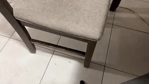 Carlos Nico online show from 5, 3, 2026