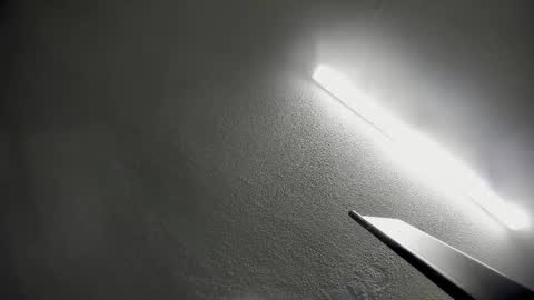 nicohillx online show from 19, 1, 2026