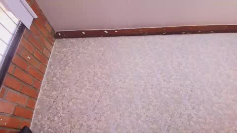 Nicol online show from 4, 11, 2025