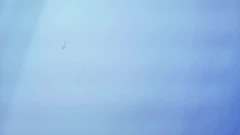 Nicolle online show from 19, 1, 2026