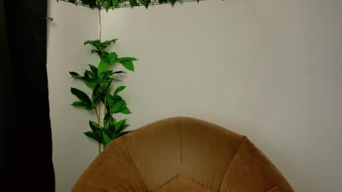 nicoleirisxxx online show from 15, 4, 2026