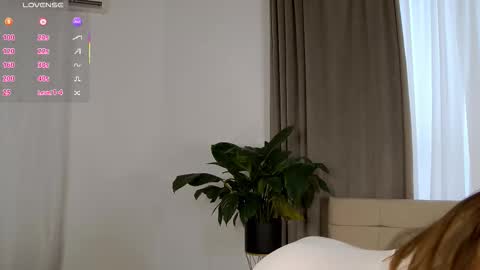 Nicol online show from 12, 2, 2026