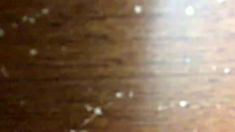 Snapshot of nightmoves1970 chatting on 18, 2, 2026 nightmoves1970 online show from 18, 2, 2026