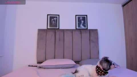 Niicoleta  online show from 15, 5, 2026