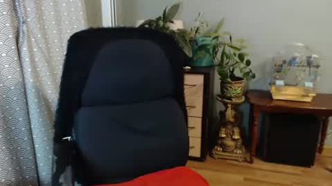 Nika online show from 8, 7, 2026