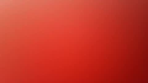 Snapshot of nilsoplay chatting on 16, 2, 2026 nilsoplay online show from 16, 2, 2026