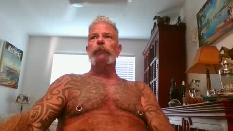 Snapshot of njdbear chatting on 1, 11, 2025 Don online show from 1, 11, 2025