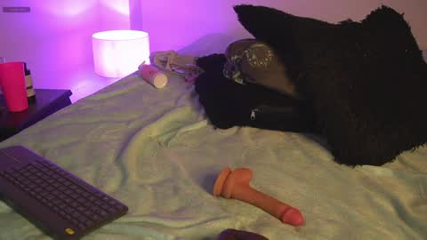 noah_0814 online show from 11, 4, 2026