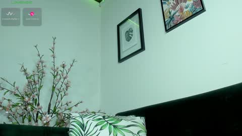 Snapshot of noah_devil chatting on 27, 1, 2025 Noah online show from 27, 1, 2025