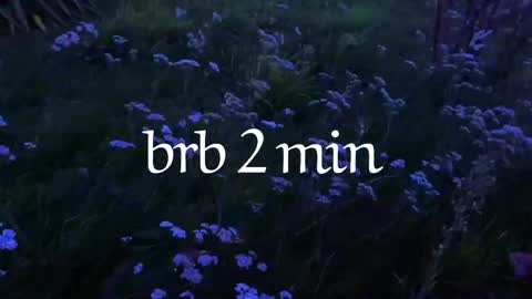 Noori online show from 4, 4, 2026