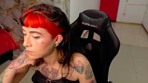 Nova kitty tx online show from 20, 2, 2026