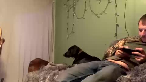 Snapshot of nsy57528 chatting on 19, 10, 2025 nsy57528 online show from 19, 10, 2025