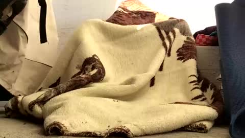 nuevotiempo online show from 23, 2, 2026