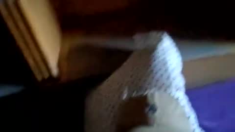 NYCGUY1982 online show from 24, 2, 2026