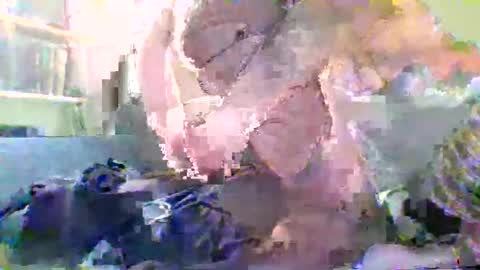 NYlonloversFFM online show from 17, 1, 2026