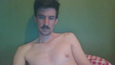 octobot2 online show from 12, 4, 2026