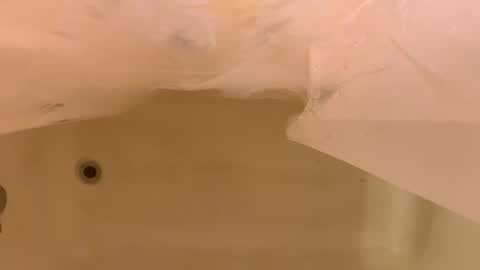 Odin Stone online show from 6, 1, 2026