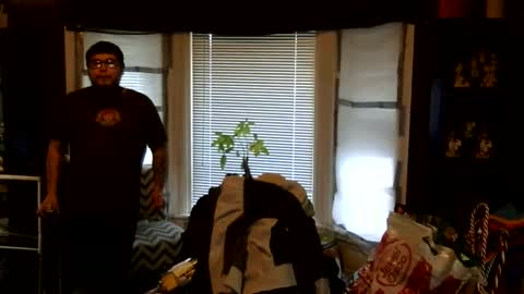 oscar flores online show from 1, 3, 2026