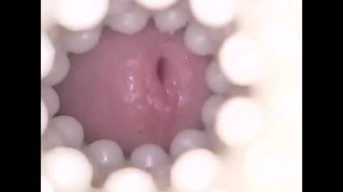 ohioguy4201985 online show from 17, 4, 2026