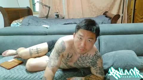 ohshxt online show from 27, 5, 2026