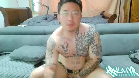 ohshxt online show from 28, 5, 2026