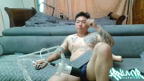 ohshxt online show from 31, 5, 2026