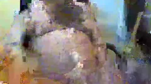 Snapshot of oily27 chatting on 2, 11, 2025 William online show from 2, 11, 2025