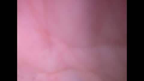 oldaddy2 online show from 23, 2, 2026