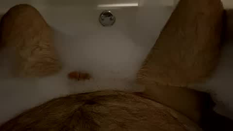 oldbones2 online show from 9, 2, 2025