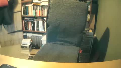 Snapshot of oldhairybastard chatting on 7, 12, 2024 oldhairybastard online show from 7, 12, 2024