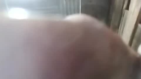 Snapshot of onesevensix04286681 chatting on 28, 2, 2026 1760fourtwo86681 online show from 28, 2, 2026