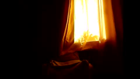 Opree online show from 31, 1, 2026