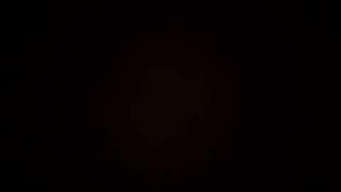 oralzoo2 online show from 8, 10, 2025