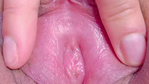 orchidekitty online show from 17, 5, 2026