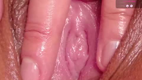 orchidekitty online show from 17, 7, 2026